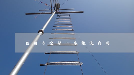 信用卡逾期一年能洗白吗 信用卡逾期一年能洗白吗