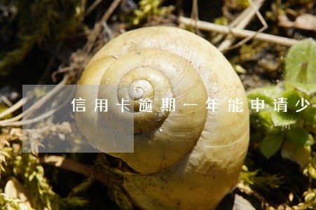 信用卡逾期一年能申请少还吗 信用卡逾期一年能申请少还吗
