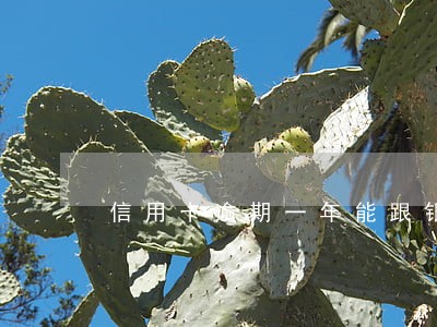 信用卡逾期一年能跟银行协商吗 信用卡逾期一年能跟银行协商吗