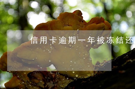 信用卡逾期一年被冻结还能用 信用卡逾期一年被冻结还能用