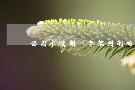 信用卡逾期一年被判刑吗 信用卡逾期一年被判刑吗