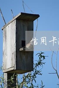 信用卡逾期一年解冻了 信用卡逾期一年解冻了