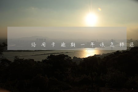 信用卡逾期一年该怎样还款 信用卡逾期一年该怎样还款