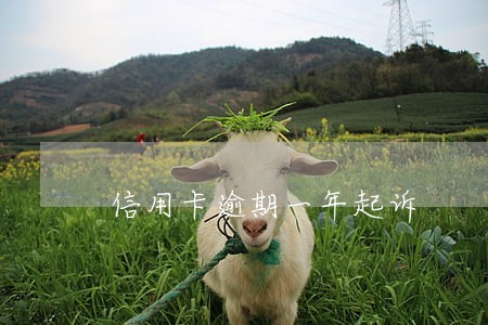 信用卡逾期一年起诉 信用卡逾期一年起诉
