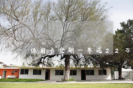 信用卡逾期一年还22万合法吗