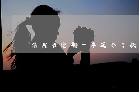 信用卡逾期一年还不了款 信用卡逾期一年还不了款