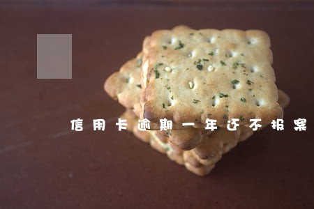 信用卡逾期一年还不报案 信用卡逾期一年还不报案
