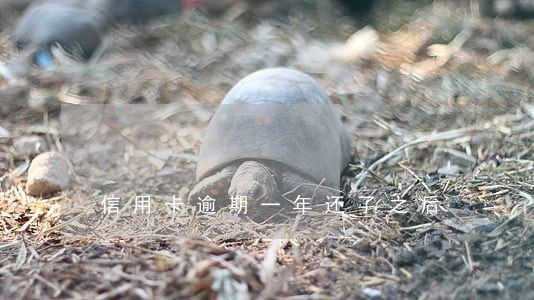 信用卡逾期一年还了之后 信用卡逾期一年还了之后