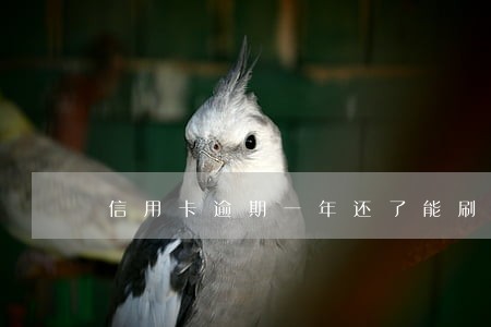 信用卡逾期一年还了能刷出来吗 信用卡逾期一年还了能刷出来吗