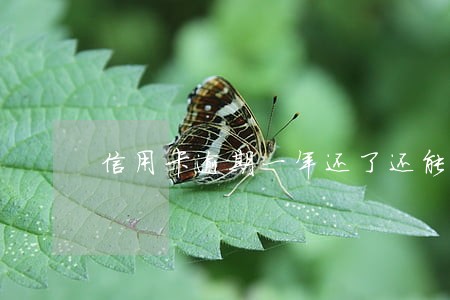 信用卡逾期一年还了还能再用吗