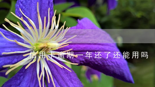 信用卡逾期一年还了还能用吗 信用卡逾期一年还了还能用吗