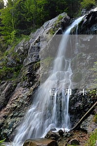 信用卡逾期一年还可以使用吗