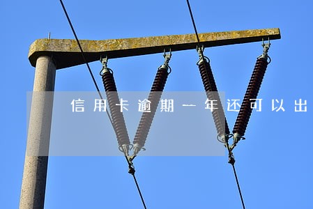 信用卡逾期一年还可以出国吗