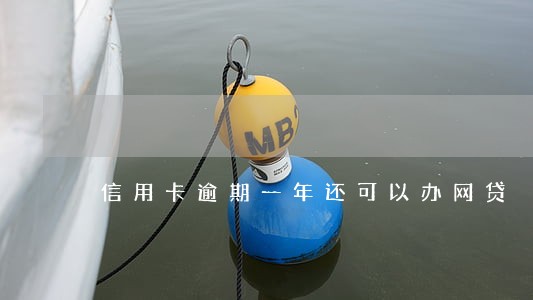 信用卡逾期一年还可以办网贷 信用卡逾期一年还可以办网贷