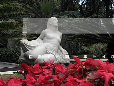 信用卡逾期一年还可以坐飞机 信用卡逾期一年还可以坐飞机