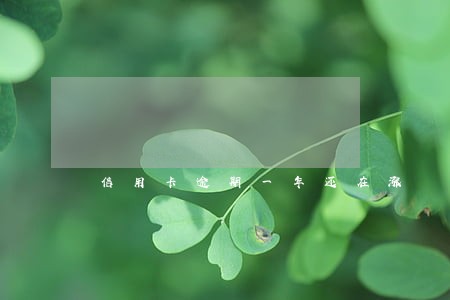 信用卡逾期一年还在涨 信用卡逾期一年还在涨