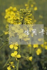 信用卡逾期一年还完款怎么注销 信用卡逾期一年还完款怎么注销