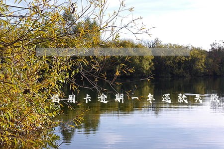 信用卡逾期一年还款失败