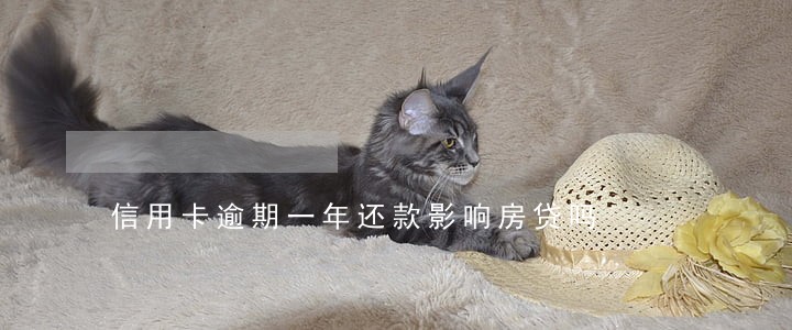 信用卡逾期一年还款影响房贷吗 信用卡逾期一年还款影响房贷吗