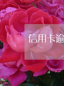 信用卡逾期一年还款还能用吗 信用卡逾期一年还款还能用吗