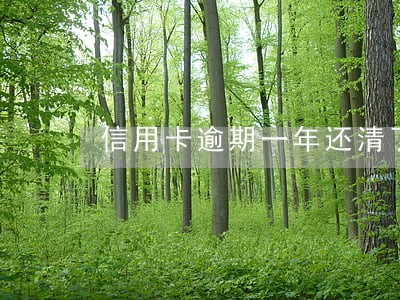 信用卡逾期一年还清了还可以用嘛 信用卡逾期一年还清了还可以用嘛