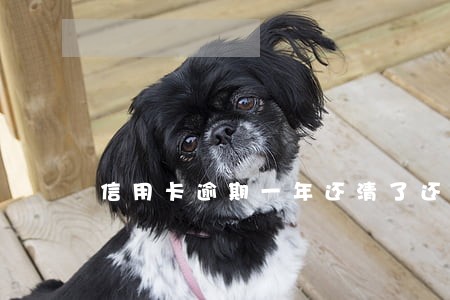 信用卡逾期一年还清了还能在用吗 信用卡逾期一年还清了还能在用吗