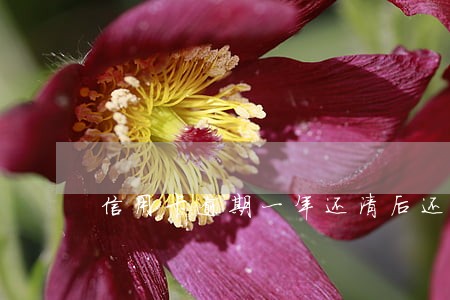 信用卡逾期一年还清后还能注销吗