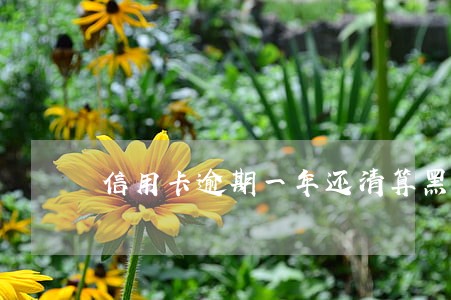信用卡逾期一年还清算黑户吗 信用卡逾期一年还清算黑户吗