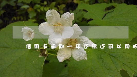 信用卡逾期一年还清还可以用吗 信用卡逾期一年还清还可以用吗