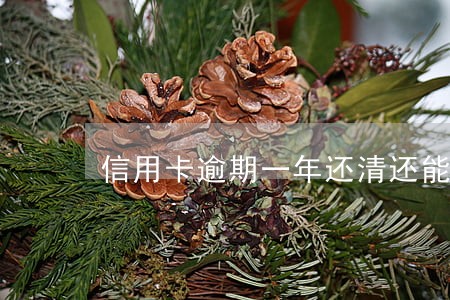 信用卡逾期一年还清还能使用吗