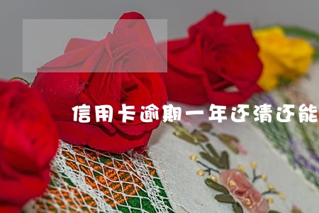 信用卡逾期一年还清还能用么 信用卡逾期一年还清还能用么