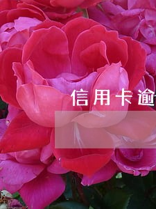 信用卡逾期一年还清还能用吗 信用卡逾期一年还清还能用吗