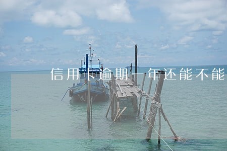 信用卡逾期一年还能不能刷卡 信用卡逾期一年还能不能刷卡