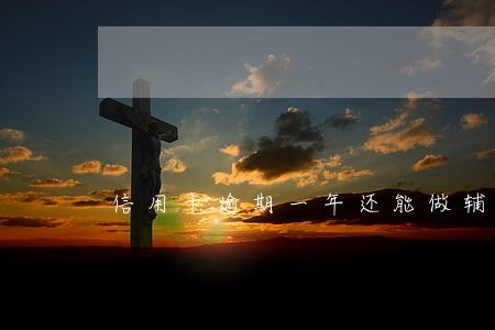 信用卡逾期一年还能做辅警吗 信用卡逾期一年还能做辅警吗