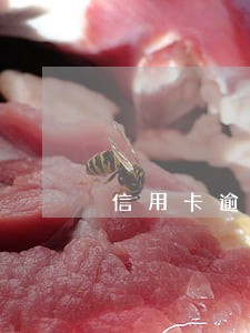 信用卡逾期一年还能办理分期 信用卡逾期一年还能办理分期
