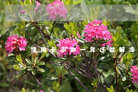 信用卡逾期一年还能解冻嘛