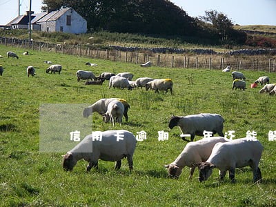 信用卡逾期一年还能解封不 信用卡逾期一年还能解封不