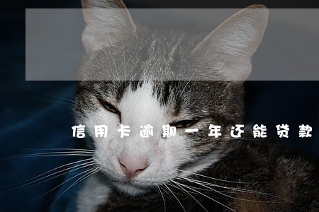 信用卡逾期一年还能贷款吗？