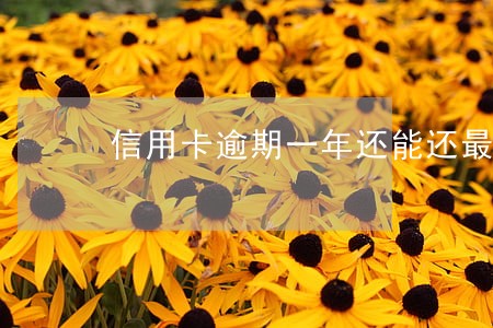 信用卡逾期一年还能还最低吗 信用卡逾期一年还能还最低吗