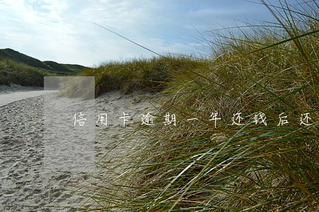 信用卡逾期一年还钱后还能用吗 信用卡逾期一年还钱后还能用吗