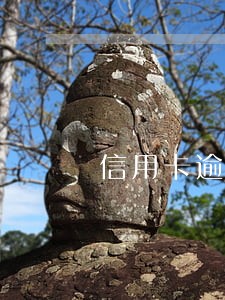 信用卡逾期一年连续3个月 信用卡逾期一年连续3个月