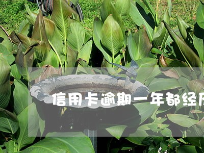 信用卡逾期一年都经历了什么 信用卡逾期一年都经历了什么