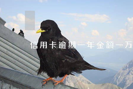信用卡逾期一年金额一万多