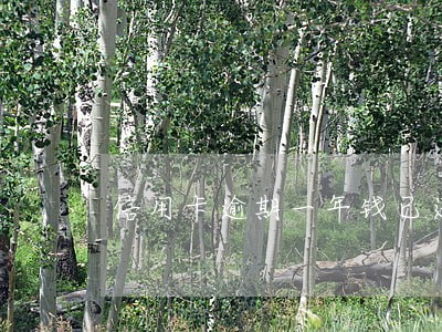 信用卡逾期一年钱已还清注销 信用卡逾期一年钱已还清注销