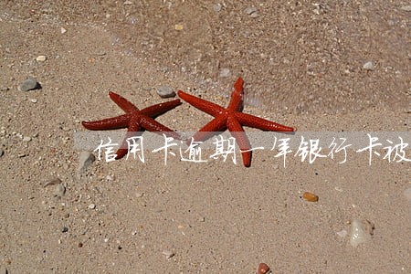 信用卡逾期一年银行卡被冻结 信用卡逾期一年银行卡被冻结
