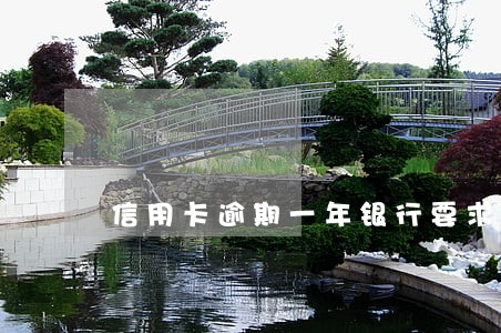 信用卡逾期一年银行要求还全款 信用卡逾期一年银行要求还全款