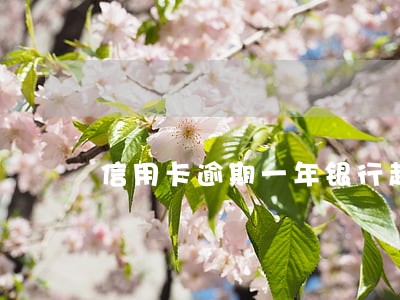 信用卡逾期一年银行起诉 信用卡逾期一年银行起诉