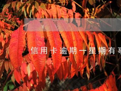 信用卡逾期一星期有事没