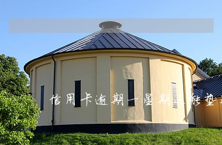 信用卡逾期一星期还能垫还吗 信用卡逾期一星期还能垫还吗