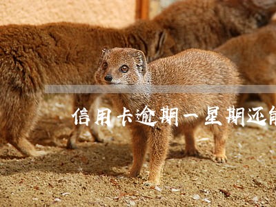 信用卡逾期一星期还能用吗 信用卡逾期一星期还能用吗